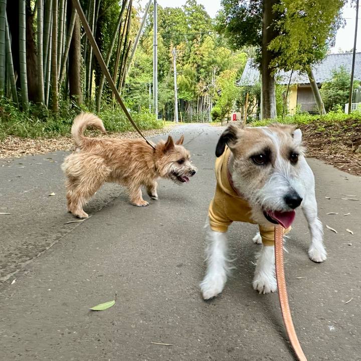 Ef932910 e35e 497c a881 8d9d2e89667d 1713621390312