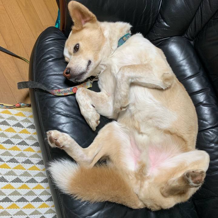 Ef93417f b79e 472c 8dec 2347fb287219 1561473334937