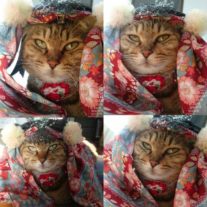 Ef93495d b6b7 4b9d 98ba 2426746ee2c6 1769290420793