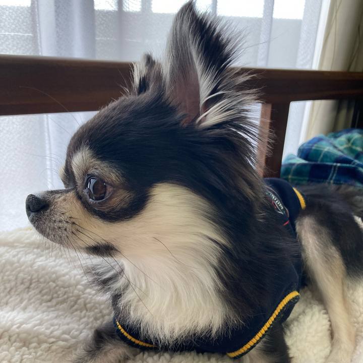 Ef935e1c 65b6 4ddc ab0c 4e9e3359ef90 1647665466861