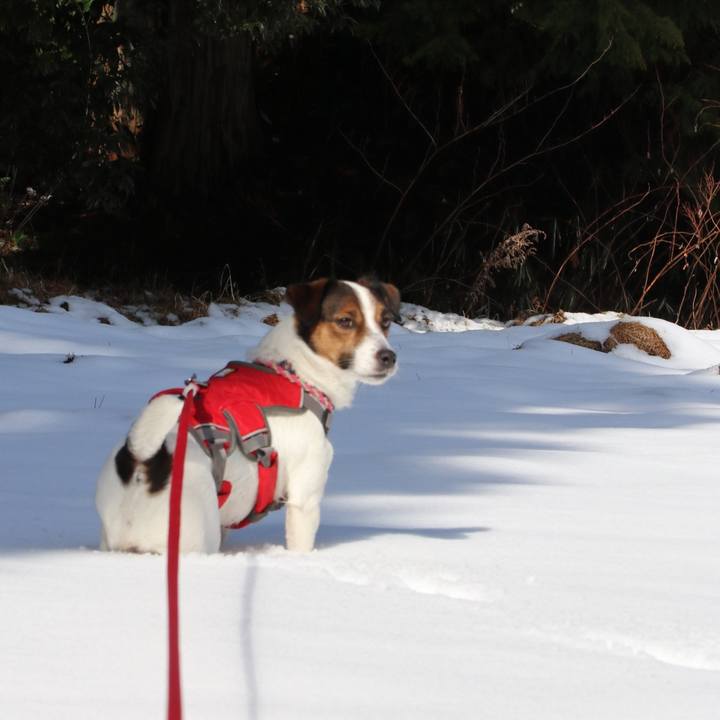 Ef937697 3883 47d1 8b14 89b75d19cbc7 1517639743894