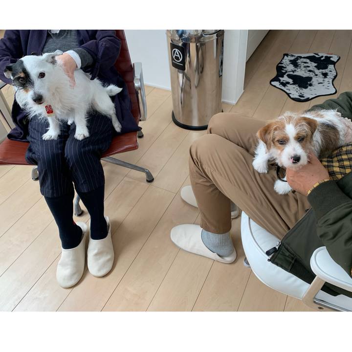 Ef93812e 229f 406f a83f 3c53e21e82b9 1712402374500