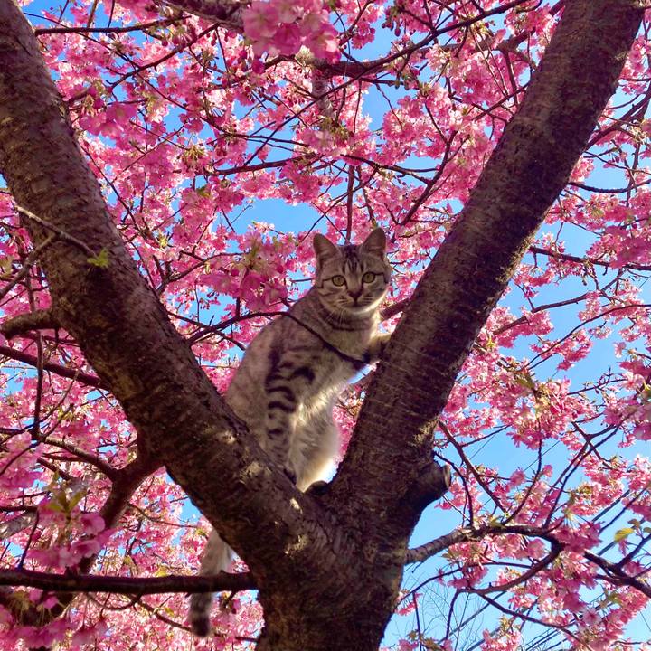 Ef93cd90 07b4 4a14 a1dc e99b1f2ab50c 1645496551223