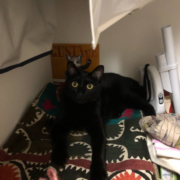 Ef93f1d8 ff1e 4e59 b2a1 a32773a05a8f 1528440598003