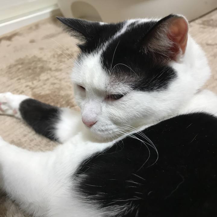 Ef93f8ed 6f85 4e9c 894f 6f762fadca20 1513775530838