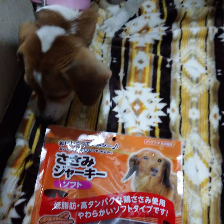 Ef9401f3 6737 4b03 9ccc 8706fd797f49 1577176815436