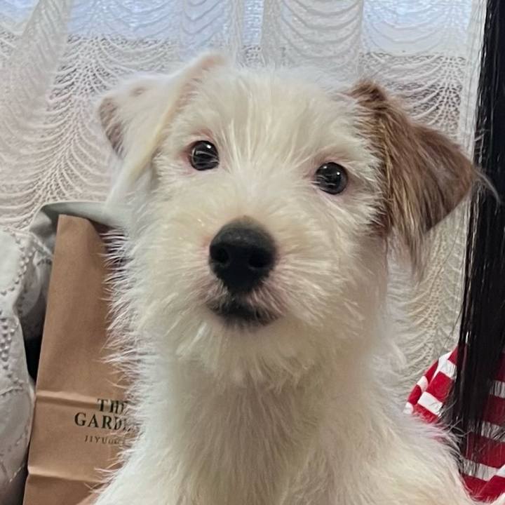 Ef943fe3 7949 4360 8cff eb3922af6c46 1728819548454