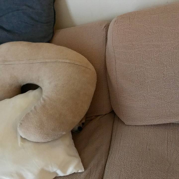 Ef944196 7d09 4bb2 9c0c f49ddc28207f 1530993886038