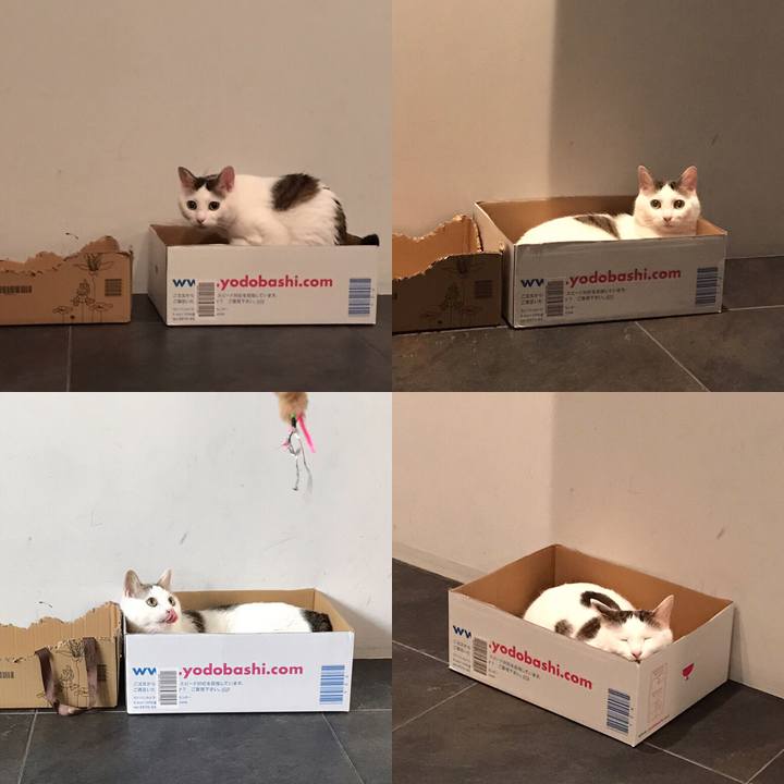 Ef94a94a 8eb2 4fee ad1a db1cca907ef1 1564575649521