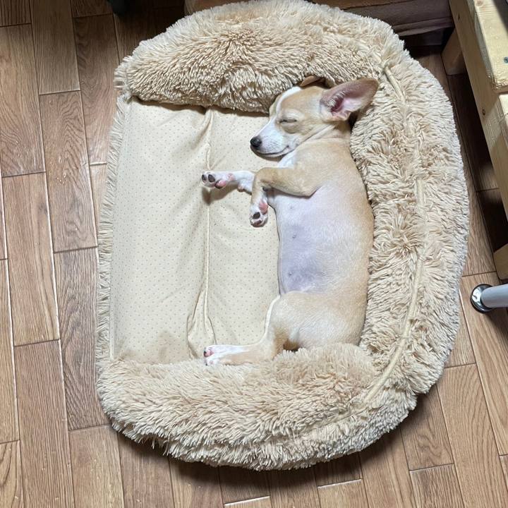 Ef94b965 15dd 4dc3 8cd8 9ae6b7a2e771 1665706473554