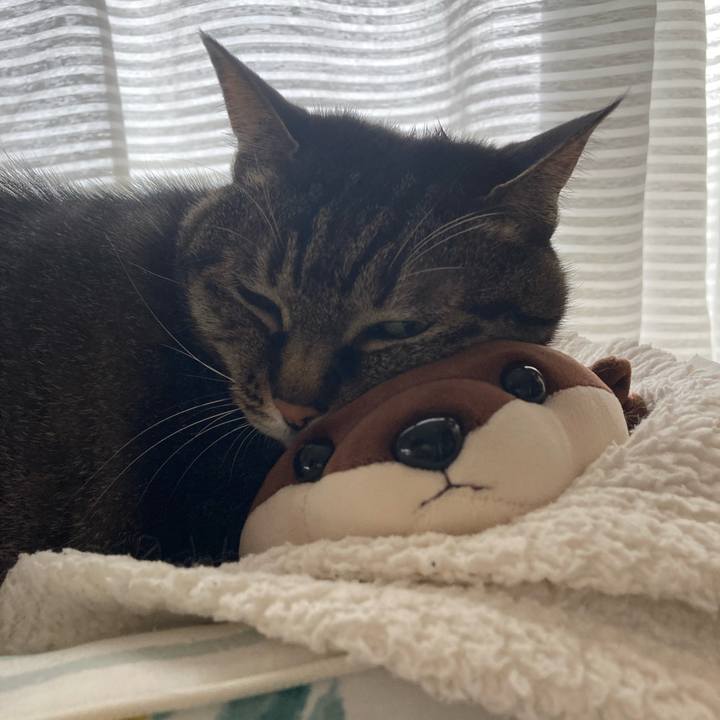 Ef94bfb5 d192 4a77 b3a5 7a02cdb9b50f 1743924190531