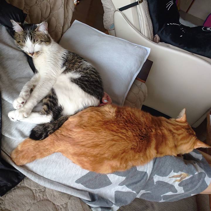 Ef94ecba 0281 4e33 b182 aca206829882 1613173929988