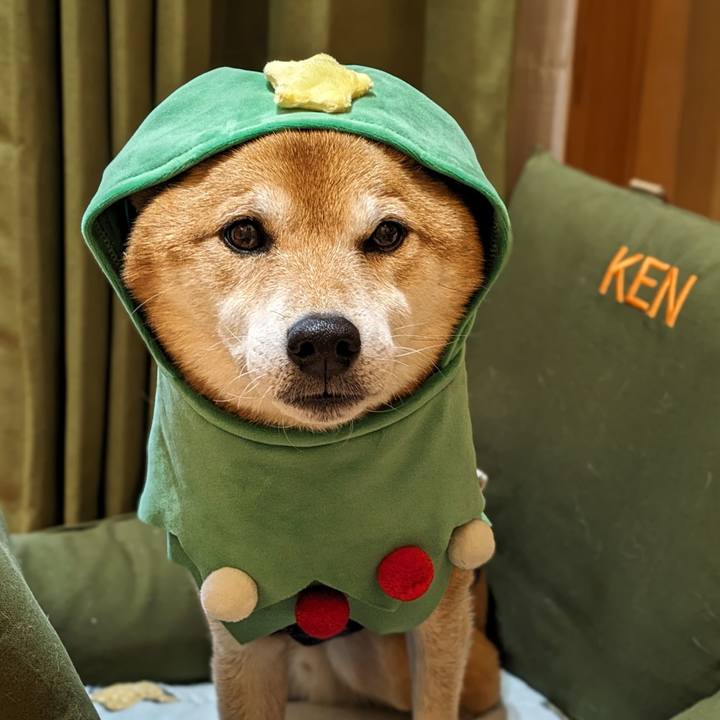 Ef95331d 215f 46cf 8a6b 549a6e11190c 1703514892957