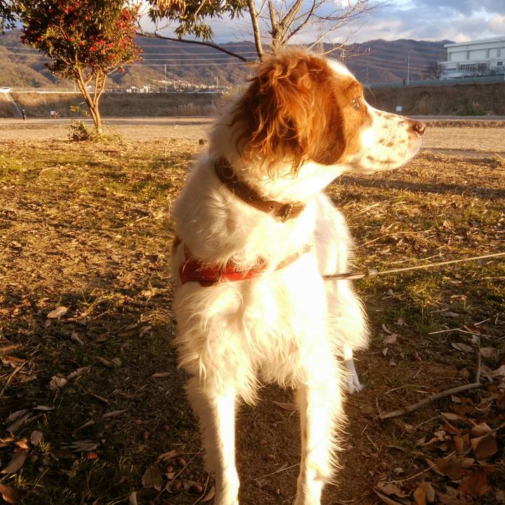 Ef95390c 8f38 4710 b16e bb4ca6767663 1546431239617