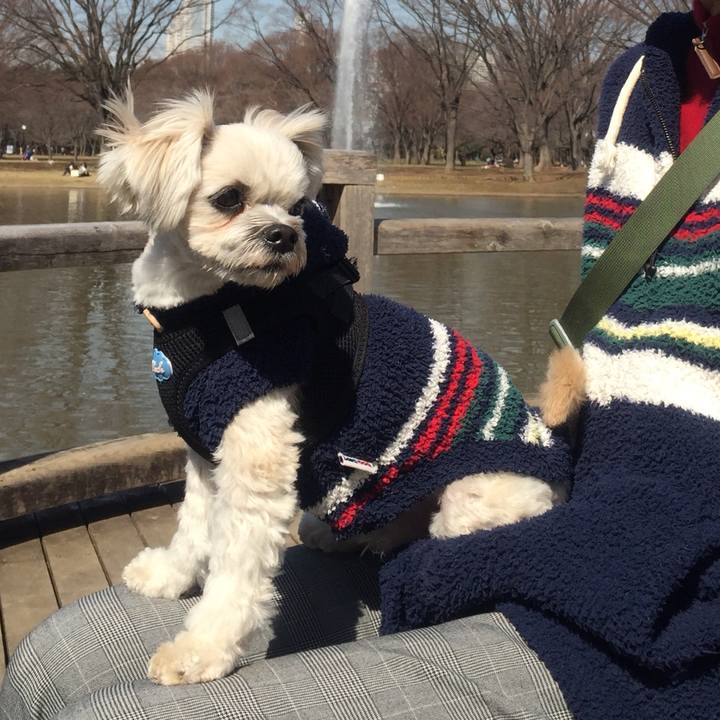 Ef95429a 19e6 404e b4e1 22e53cf6baf7 1520067891442