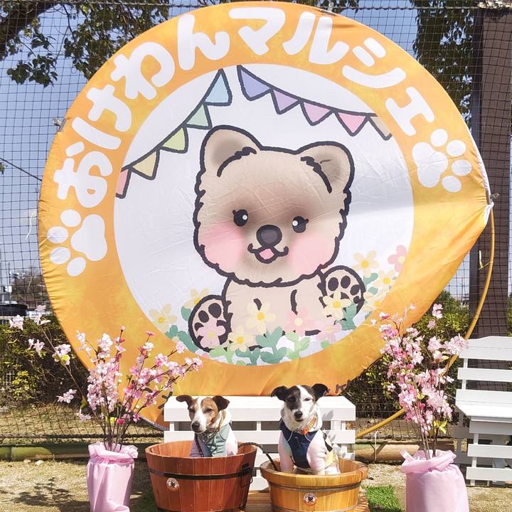 Ef95430d 9679 4ecd a71e 6f6379dd6b95 1774689004903