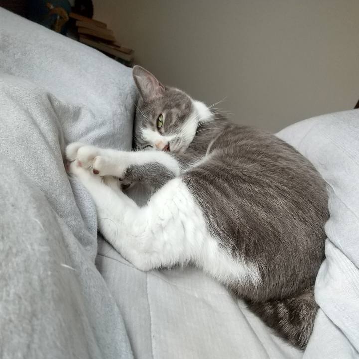 Ef954ed1 6ecf 4b55 85f6 659df8e43326 1635641315857