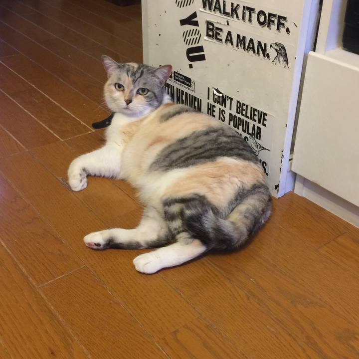 Ef9551ab 9202 4d40 a9a1 31435edf3be6 1560073061942