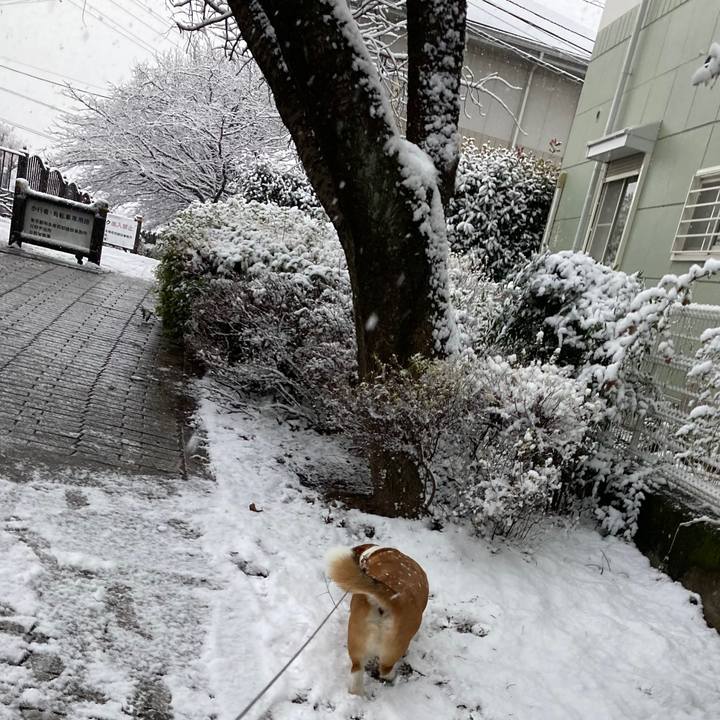 Ef955280 33c8 4a10 8495 804c74efdc16 1641454971367