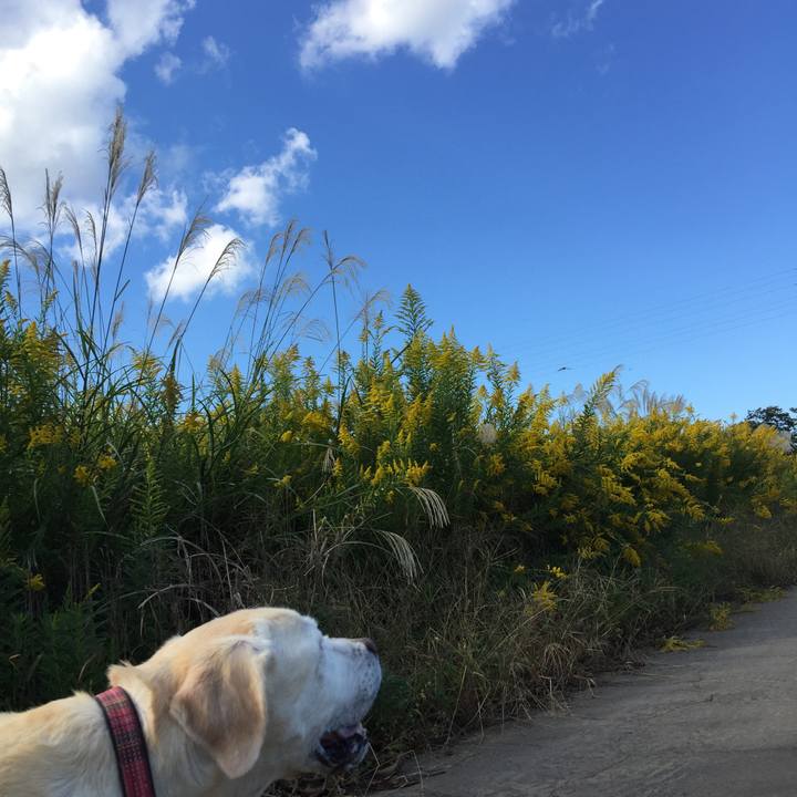 Ef95bf59 3a94 411b aaf4 a55ec8b8c6fd 1508417714787