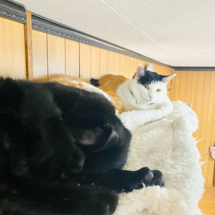 Ef95f0a7 8470 48b9 a23a 4614d24f09b7 1681776764479