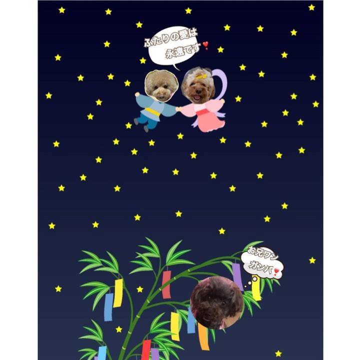 Ef96340b c749 4f96 877f 5d4e2c15d89b 1562492383691