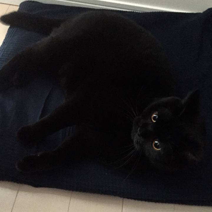 Ef9639a7 1f6b 4d5f aee3 bb822c1f752f 1572964793265