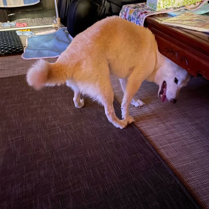 Ef964a60 886a 4116 87d5 9e19a61f66e1 1659623161589