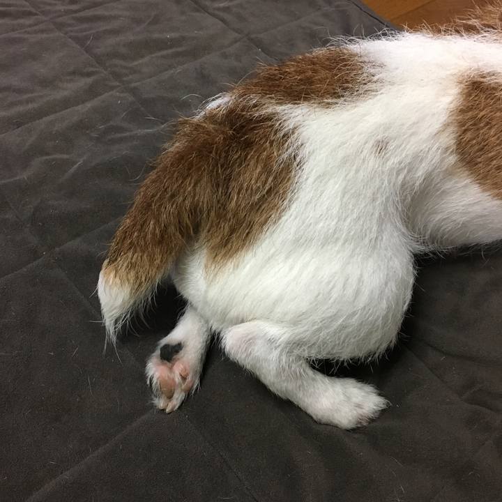 Ef96931e ea2d 4ce8 9592 7b62bf1d48b5 1570596031032