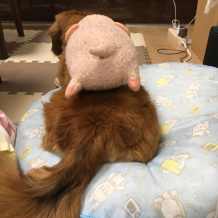 Ef969e46 2800 475b 9606 5facd347a09f 1527513983914