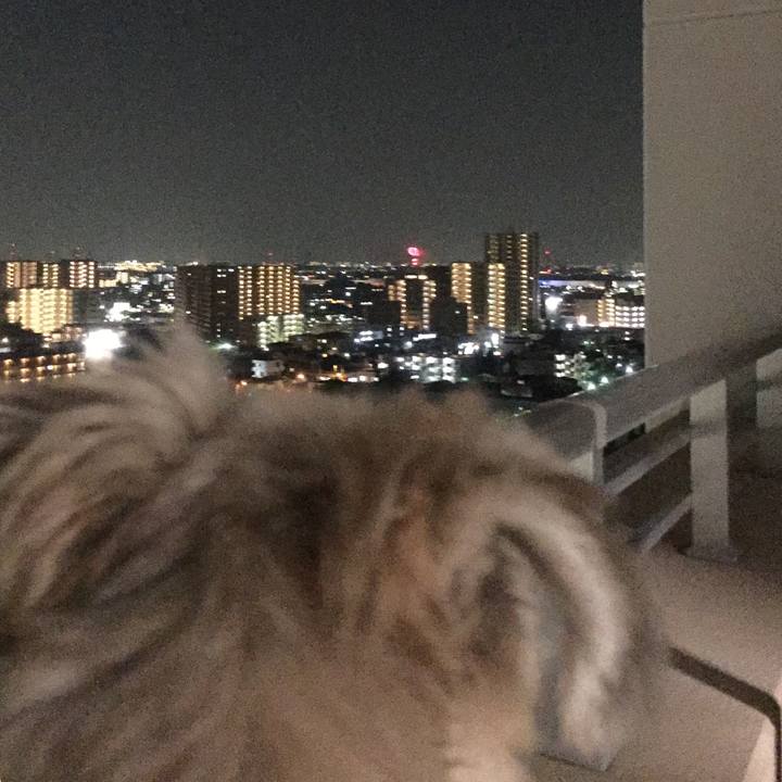 Ef96a512 338e 4932 9152 9ac79b988ece 1533381140012