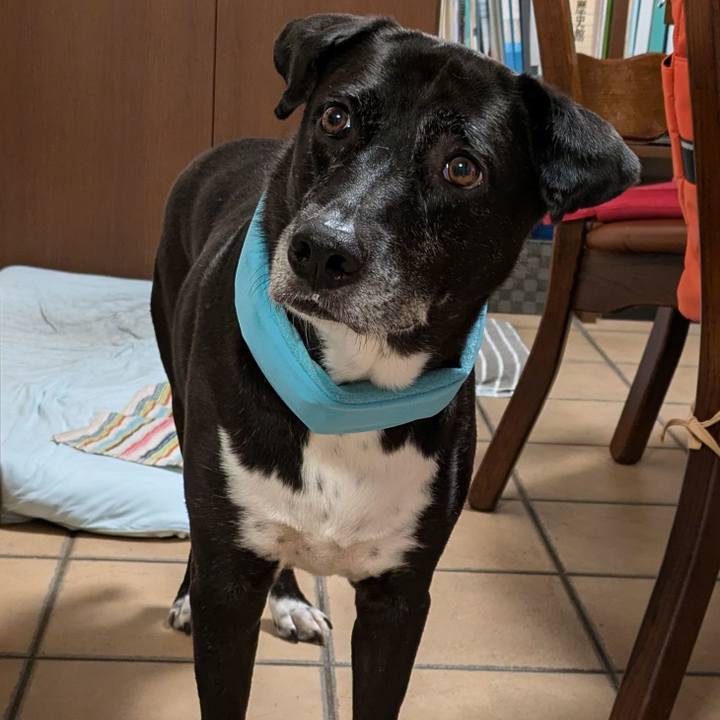 Ef96c045 705c 4e6e 8fc6 92d6d4b40da1 1725448515675