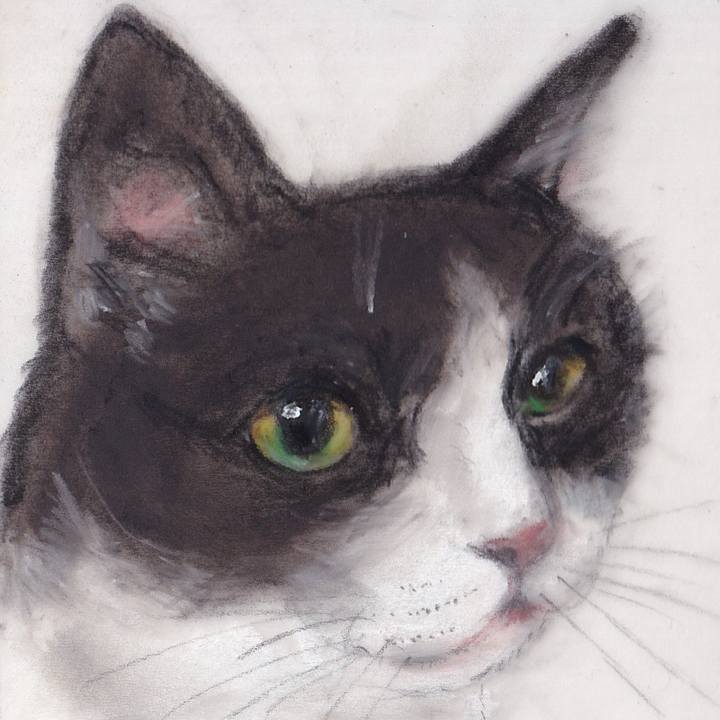 Ef96df04 16b9 4185 ae59 009a8d201a22 1746417586054