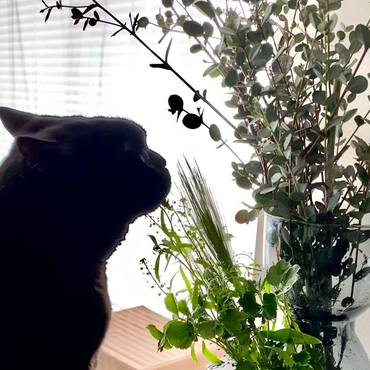 Ef96f395 e235 4db4 819f 35a31a3c13ea 1706669407711