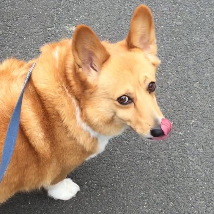 Ef96ff9f 92f4 481e 9647 31ca1f5f5c08 1508131866805