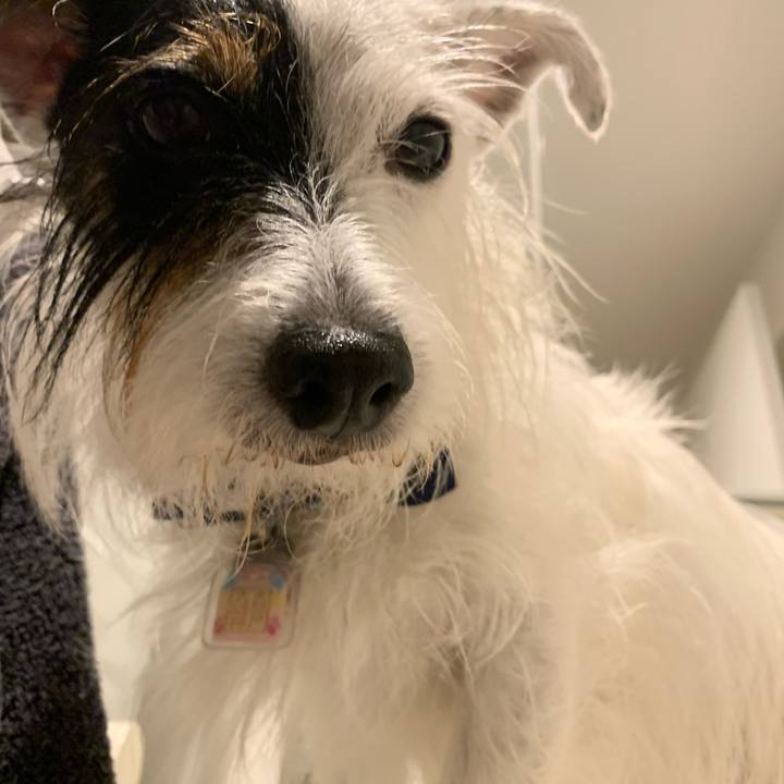 Ef9709ff 38b5 458b a06c 840576e5b295 1663675912428