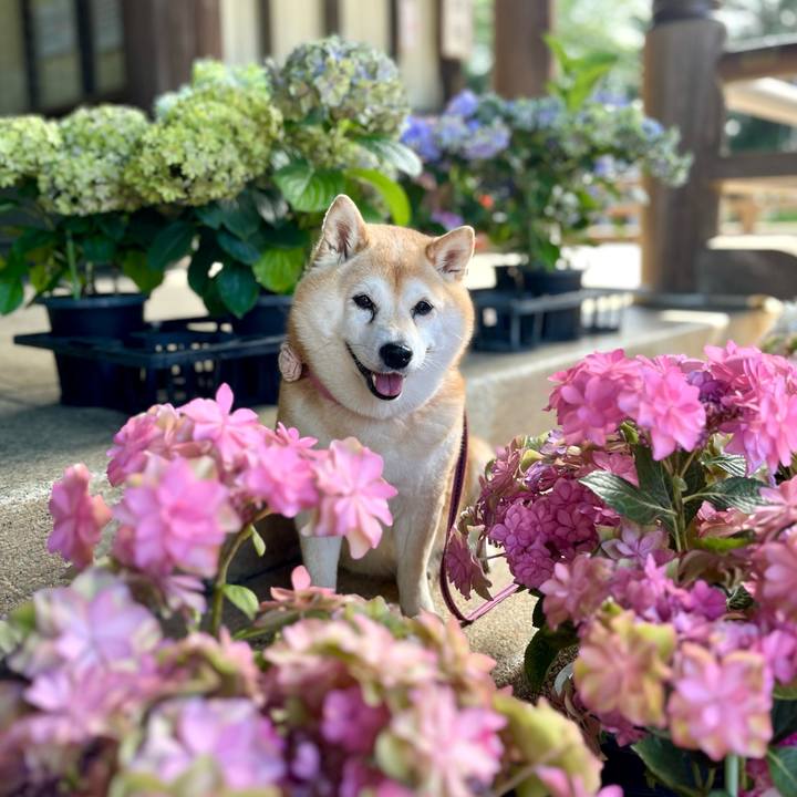 Ef970a55 b9b8 4cac 968b 2d0bd4d360d8 1719115714732