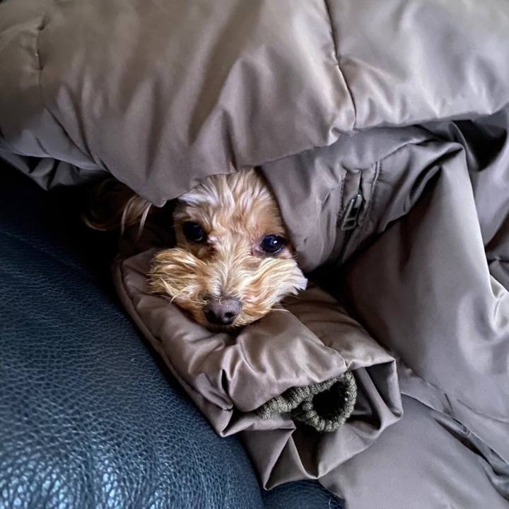 Ef971ece ff38 44aa b312 5b68d2f13a97 1650016174334