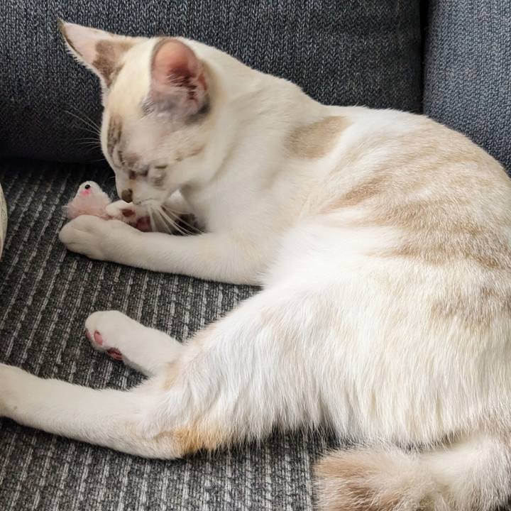 Ef972fb8 fb07 46dc b6f2 dcf0c56354c7 1698552192761