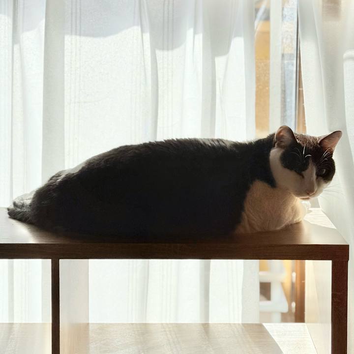 Ef974a90 f1cd 4a13 ab69 e782a3863f63 1741485360036