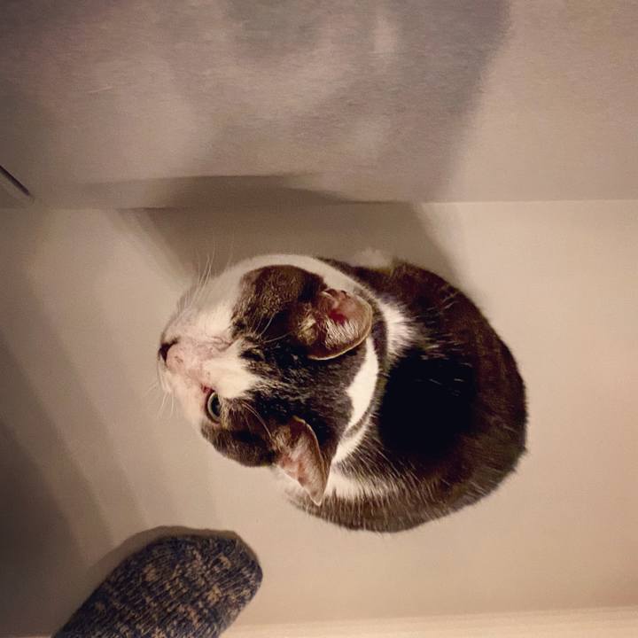 Ef97b114 b0f1 4926 82fe 99726e18ff1e 1585933233546