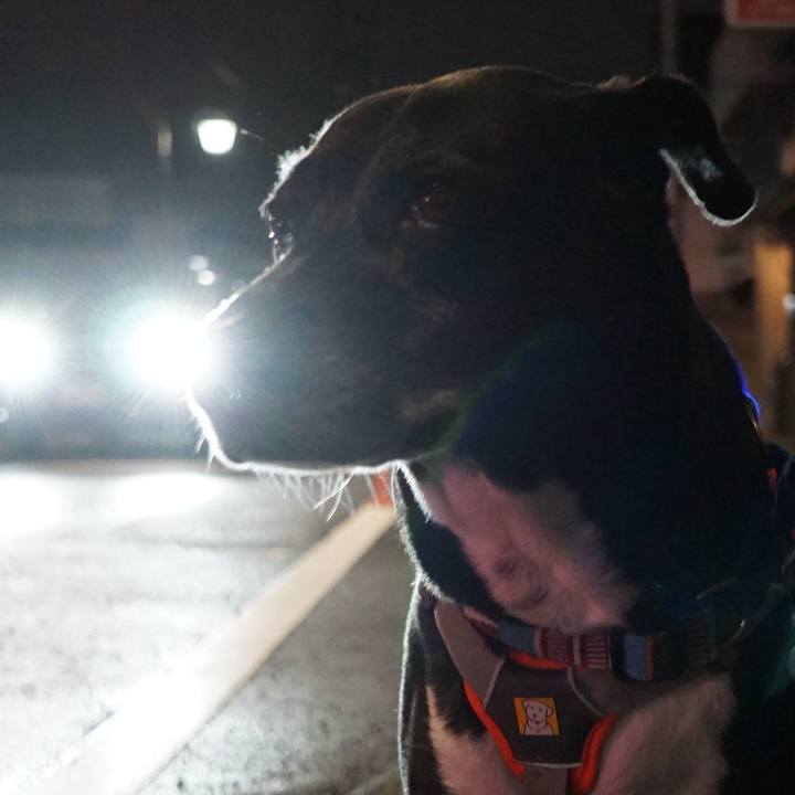 Ef97dd9d 6e0c 4f03 8ece 5d587e5dbd27 1760882135434