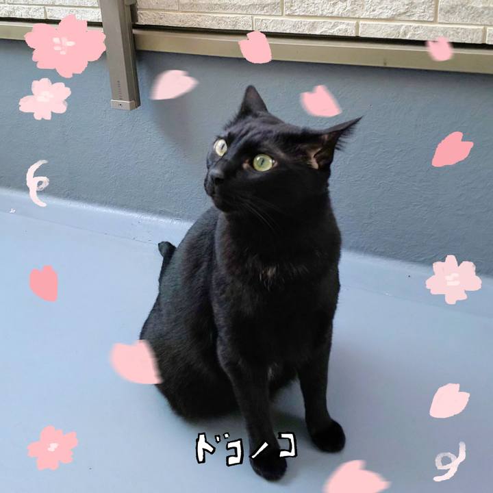 Ef98047a 9119 44cb 8d6b 23229fdcfea6 1744594302059