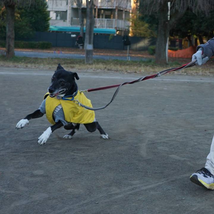 Ef981c97 d63c 4fde 9754 6cdca0923312 1764980681421