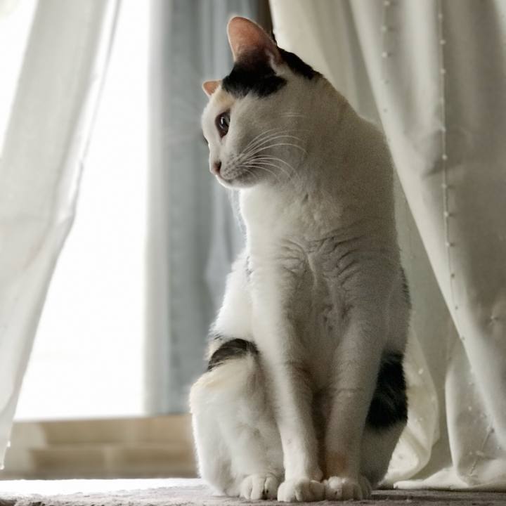 Ef9822f6 89e5 48ee 9436 8eb1be605be8 1537924952768