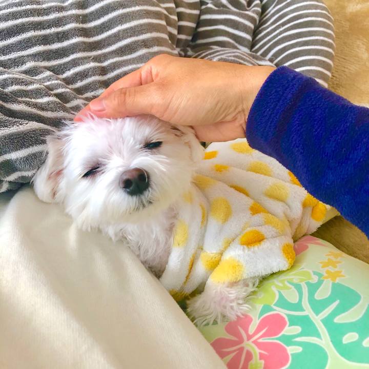 Ef9838dd 8046 40ca a128 91a143730896 1547715446958