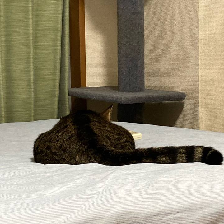 Ef984a94 74a9 4a30 87de 7c851c9de300 1694256134227