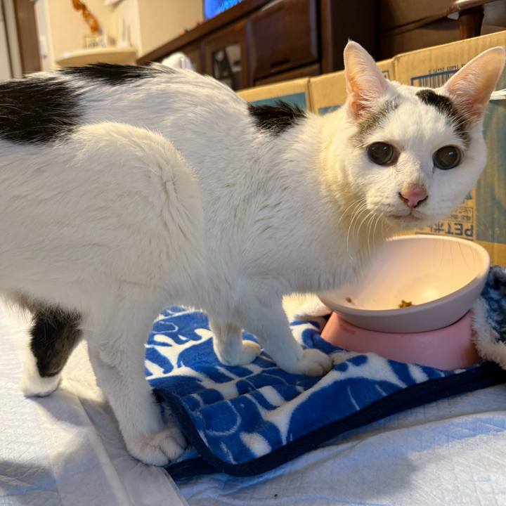 Ef985352 646e 40aa 968f b846a6aa7241 1765929595309