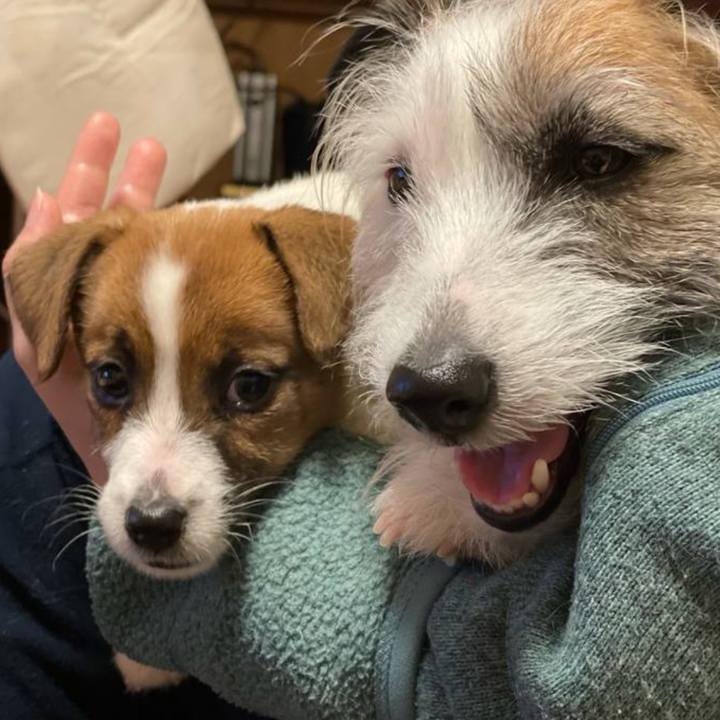 Ef98d2ca 3b32 4ea3 91bd e93fdf3bcbc2 1773805367038