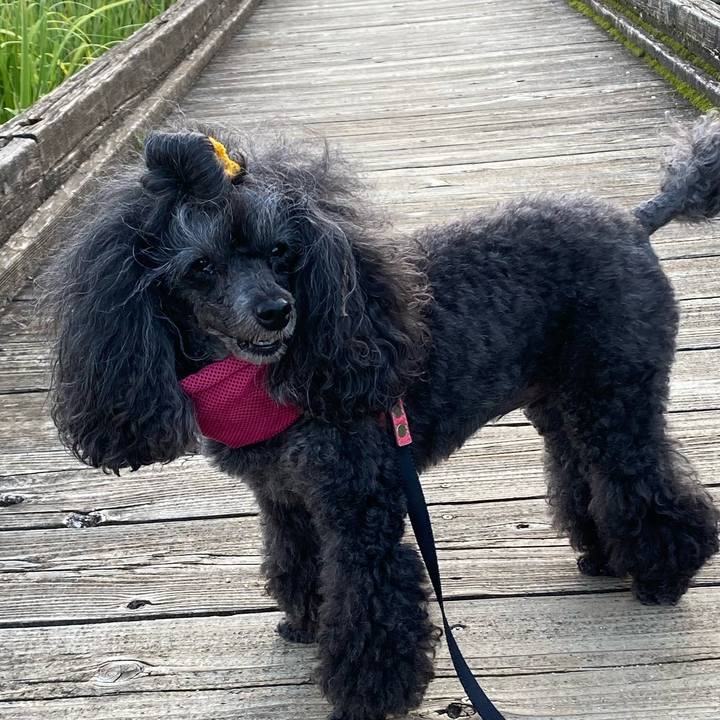 Ef98f4d7 fb63 4c61 935b d57a1c8985fb 1724706926098